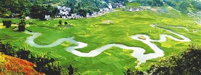 [Rh]ʢ֮µD(zhun)