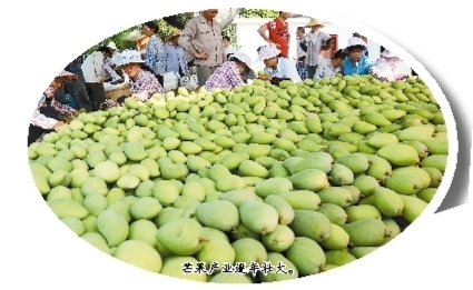 âa(chn)I(y)Ѵ