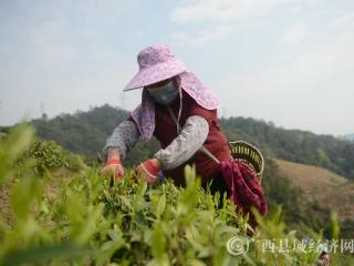ƽh紺_