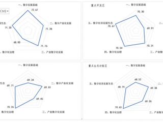 Vh(sh)ֽ(jng)(j)l(f)չu(png)(bo)棨2024꣩l(f)