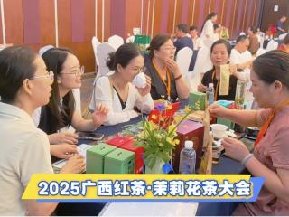 2025Vt衤򻨲(hu)όĻ xܲa(chn)I(y)|(zh)l(f)չ