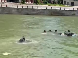 @һ3ɫvSˮȳ5ο