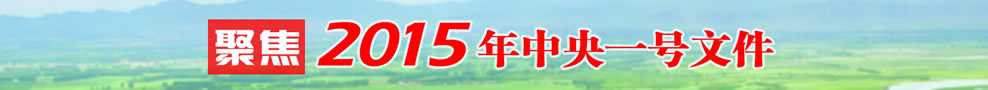 ۽2015һ̖ļ
